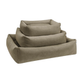olive-2