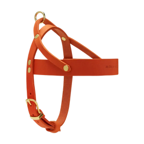 orange-messing