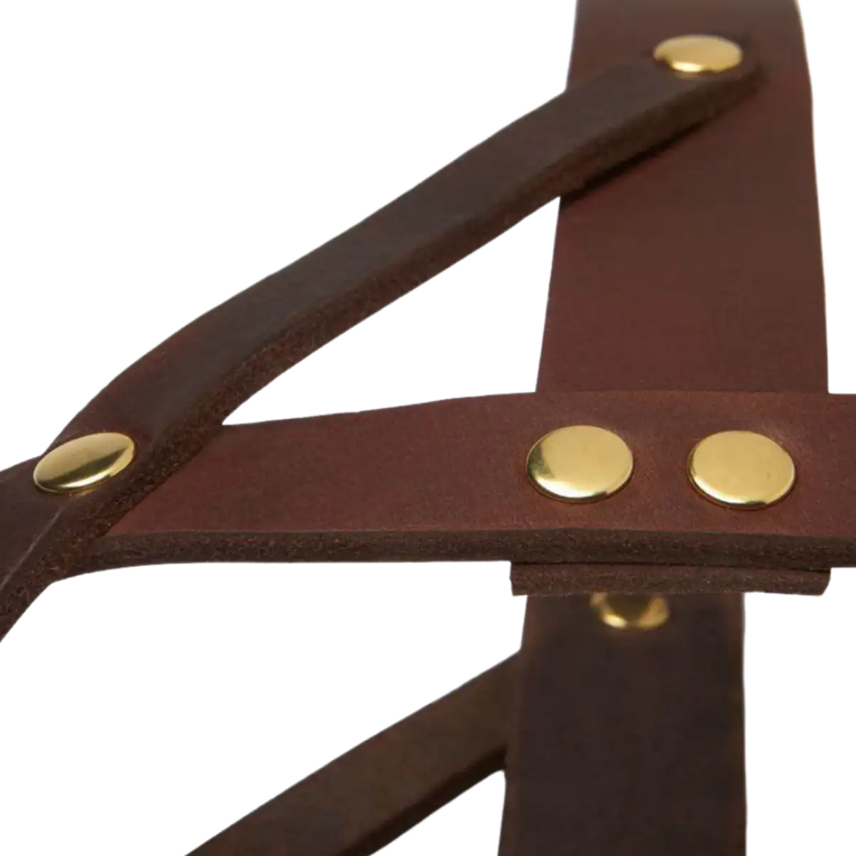 braun-messing-3