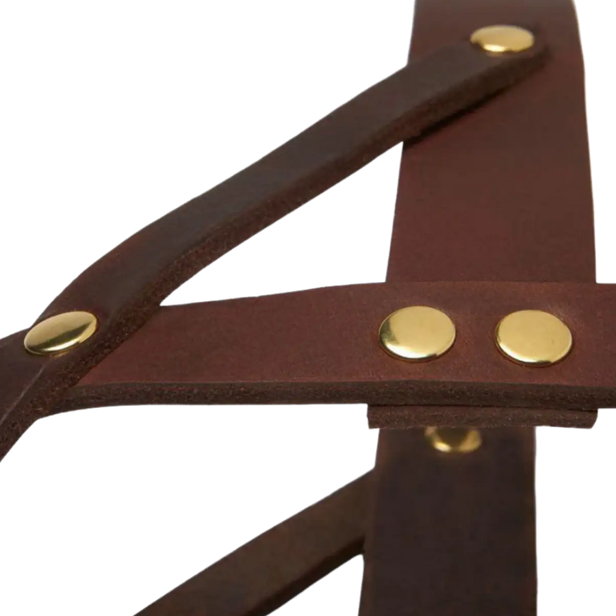 braun-messing-3