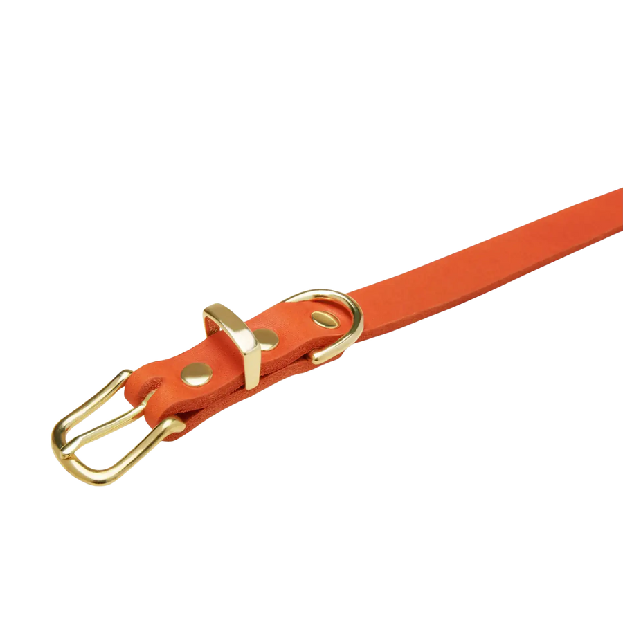 orange-2-messing