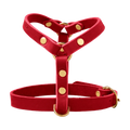 rot