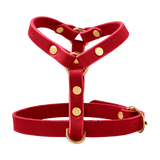 rot