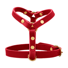 rot
