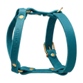 blau-2