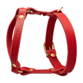 rot-2