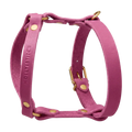 lila-2