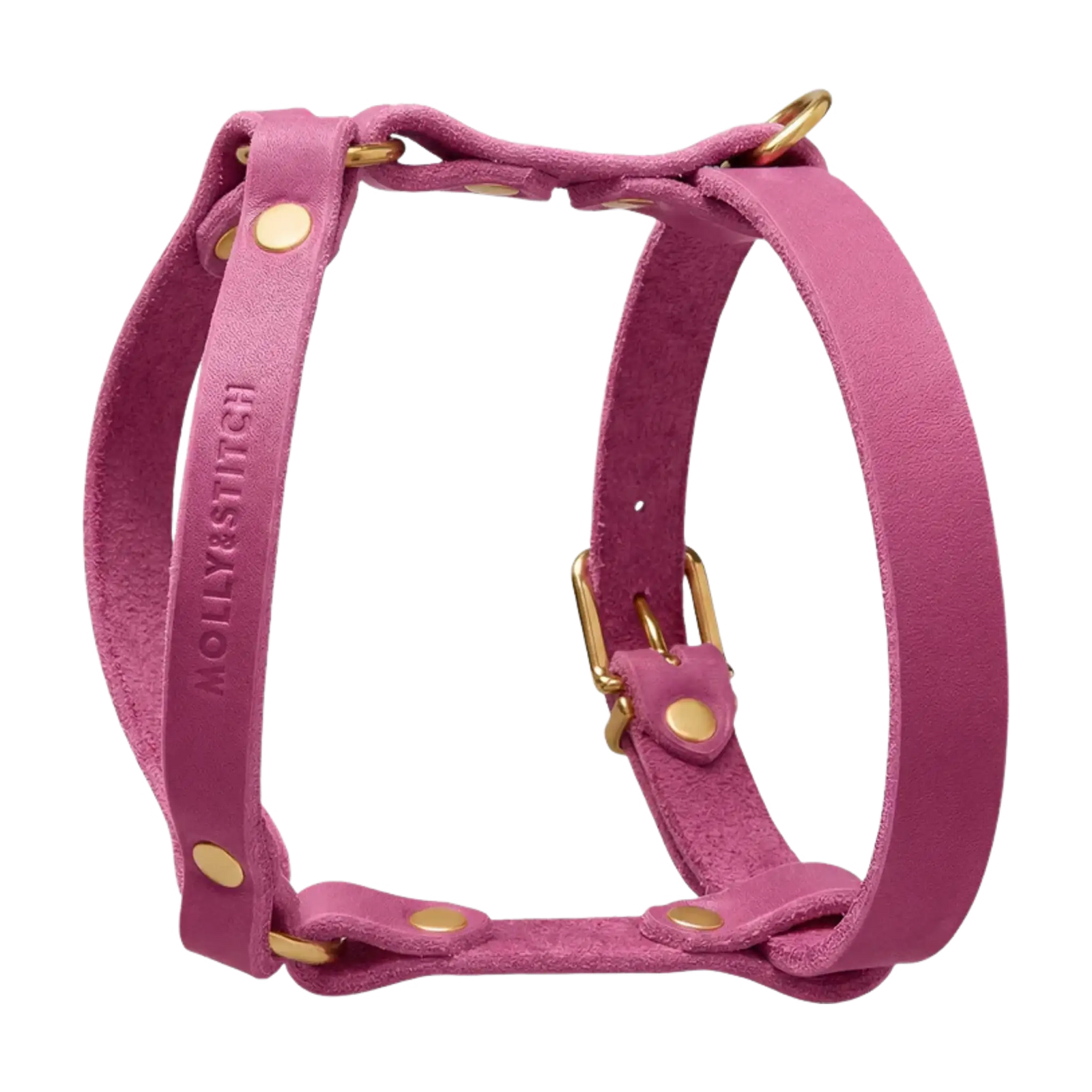 lila-2