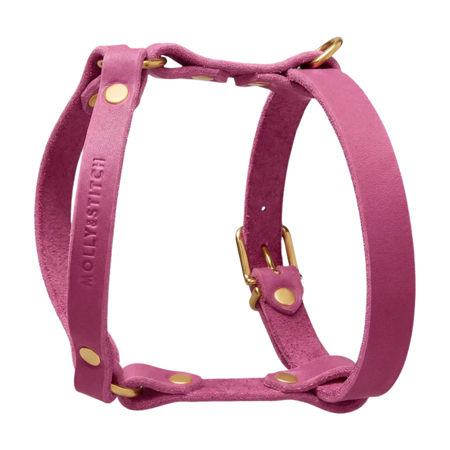 lila-2