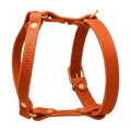 orange-2
