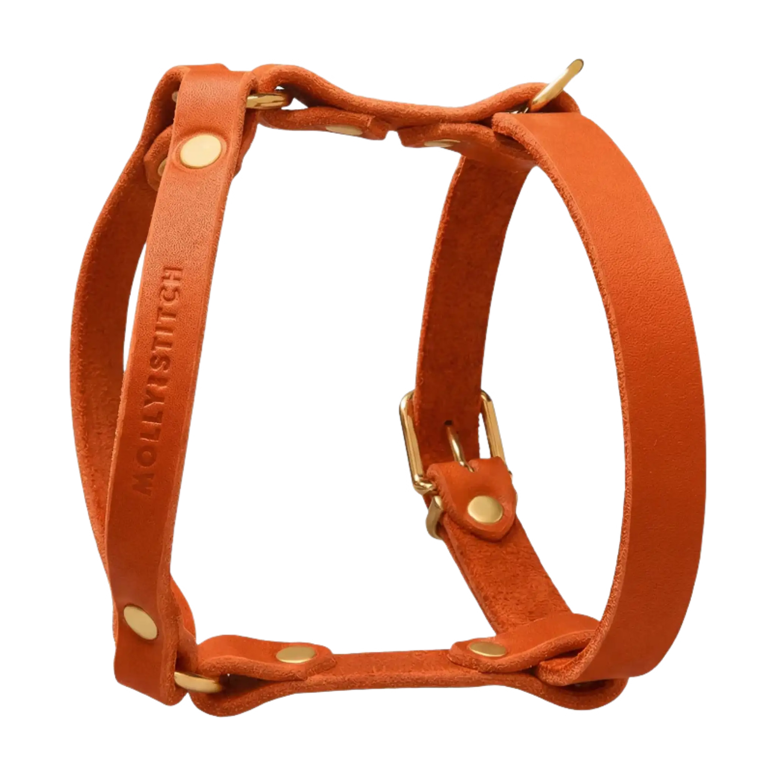 orange-2