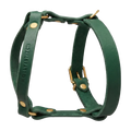 grün-2