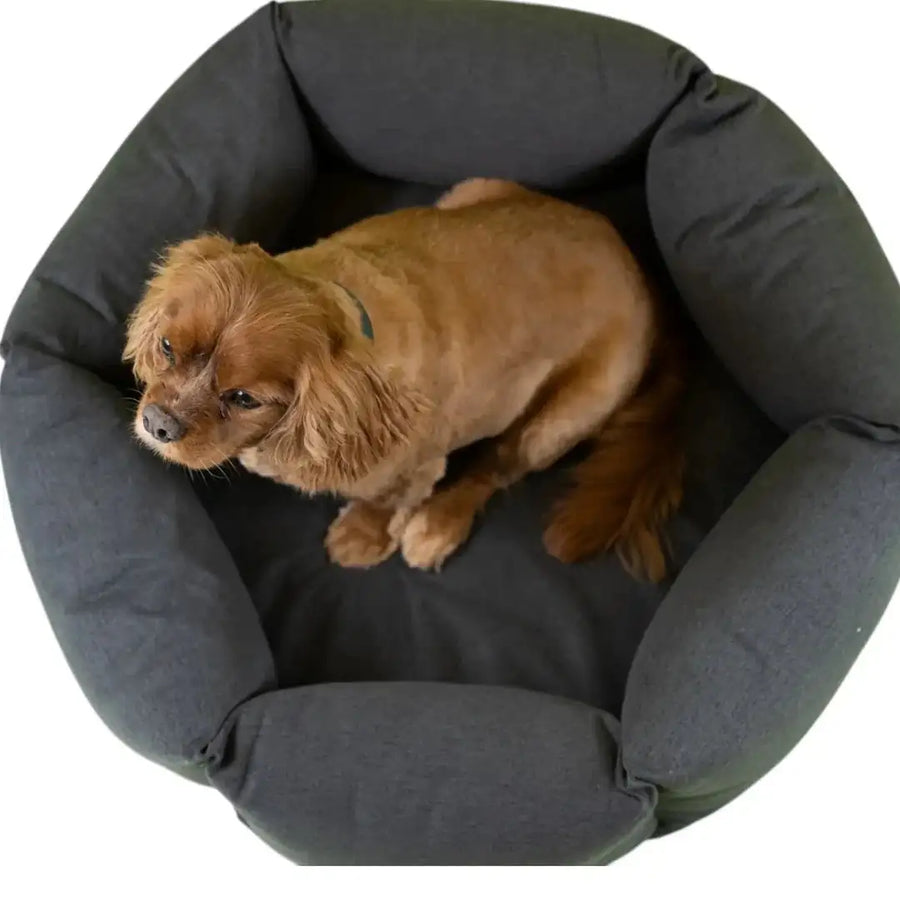 lifestyle