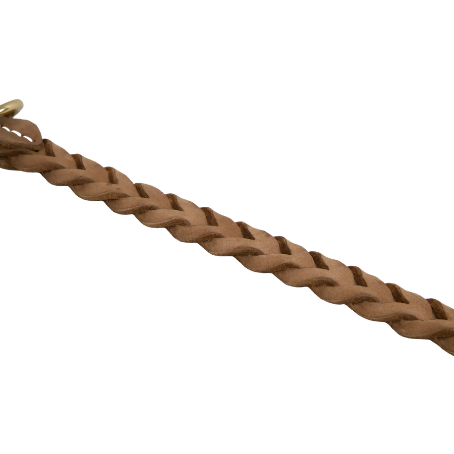 braun-4