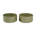 olive-2