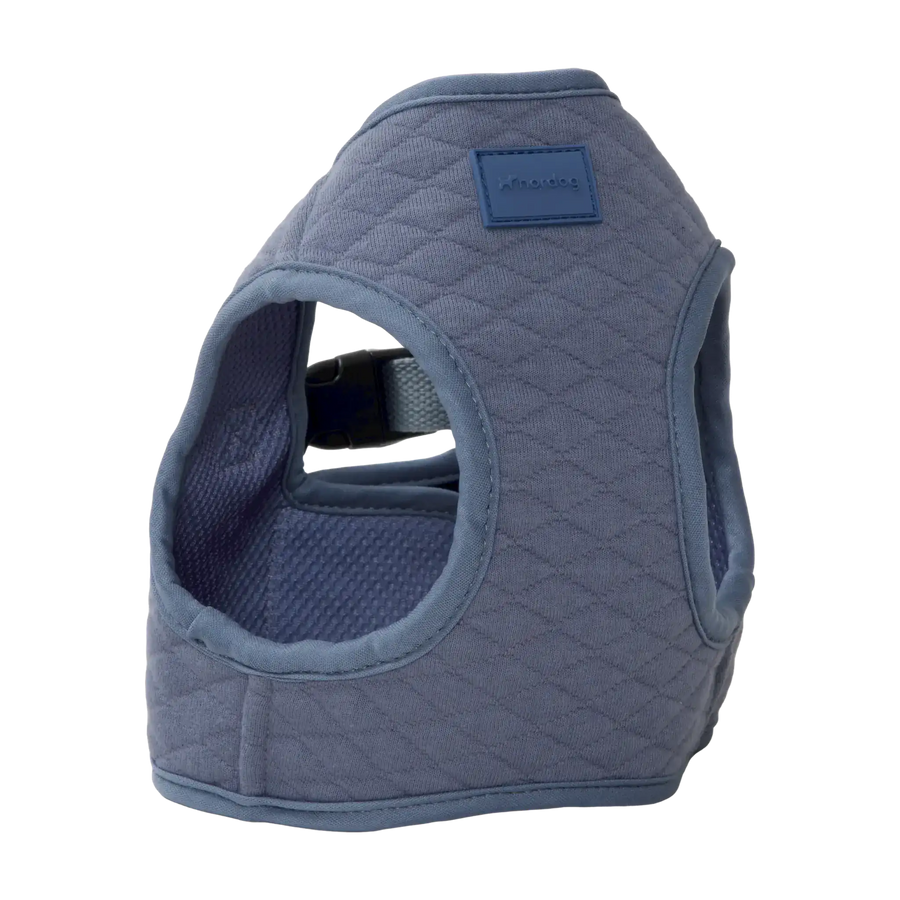 blau-2
