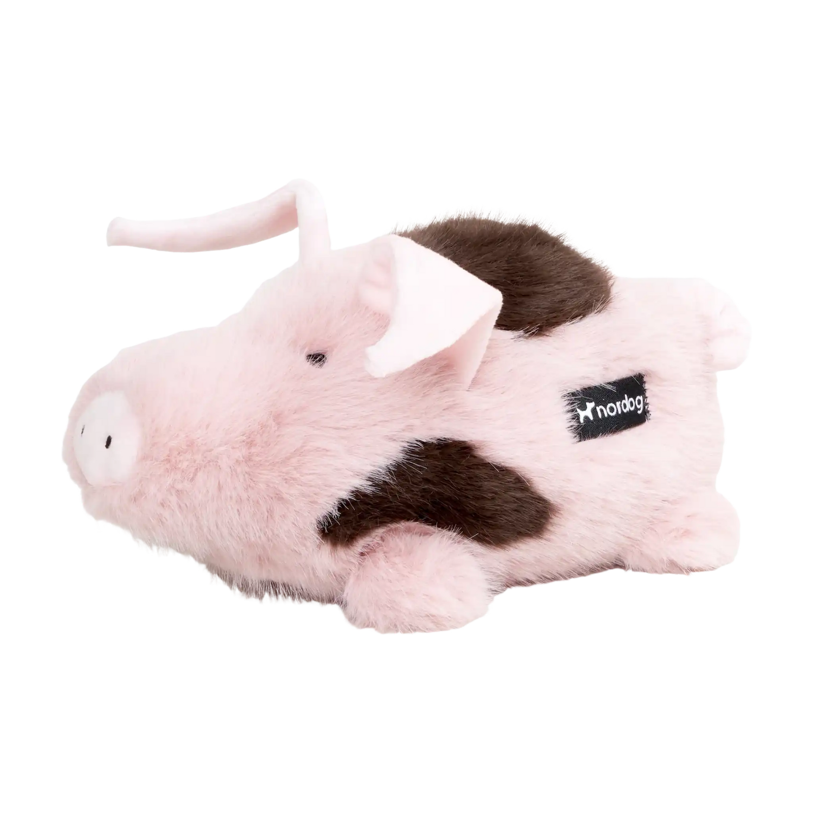Schwein Kuscheltier