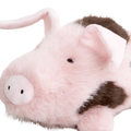 Schwein Kuscheltier