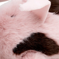 Schwein Kuscheltier