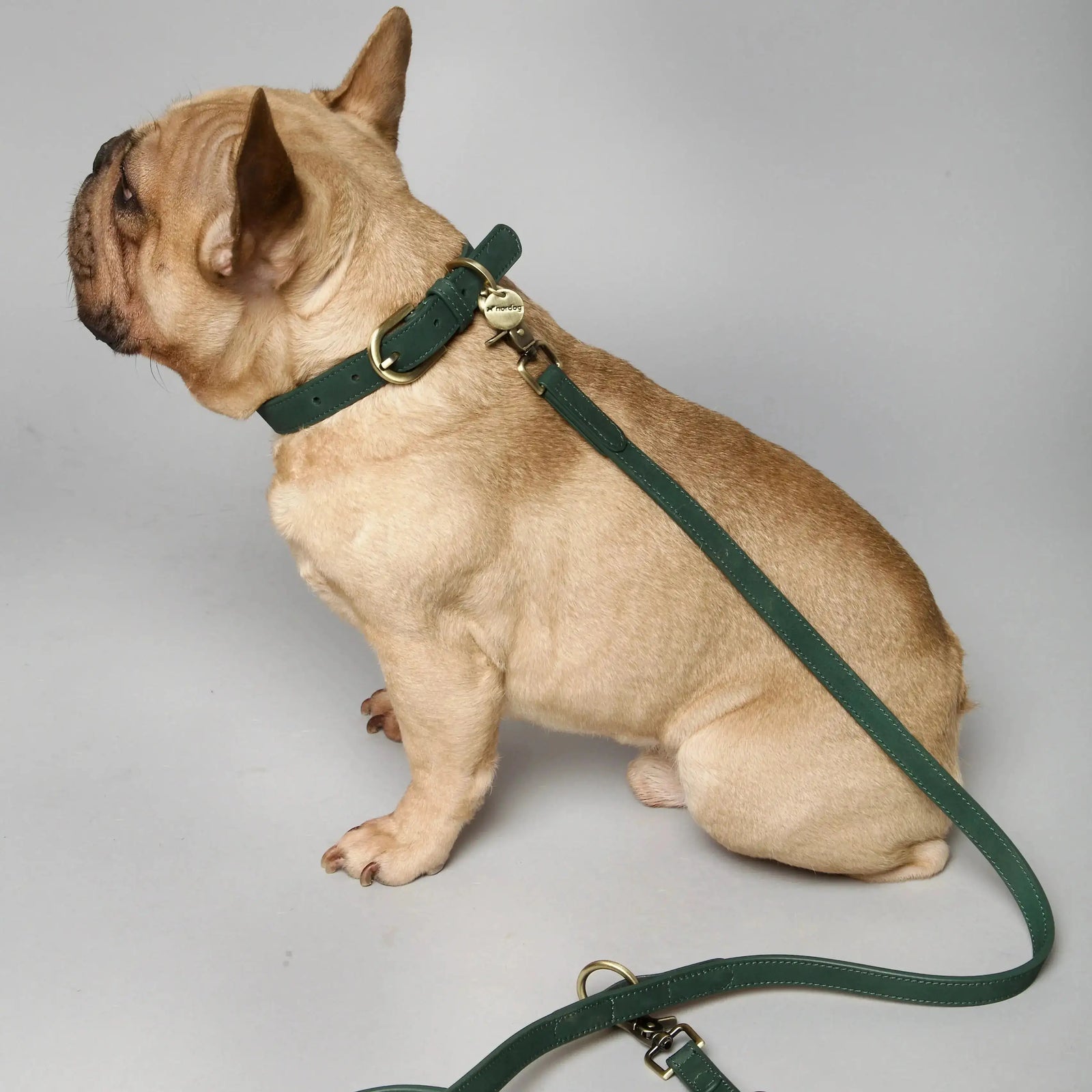 lifestyle