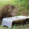 lifestyle