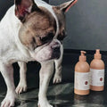 Luft Shampoo 375 ml